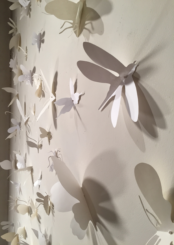 Eleanor paper cut outs insects