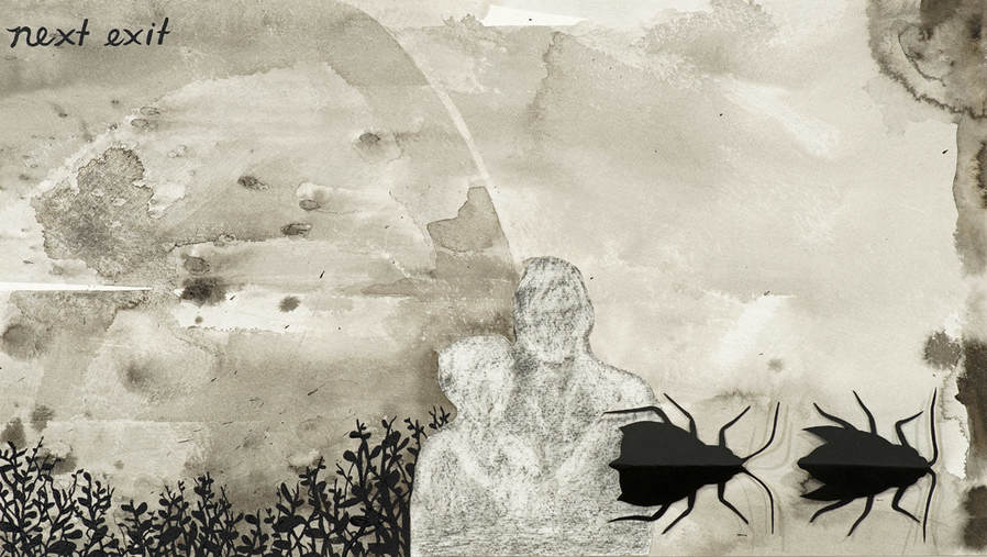 paper insect collage