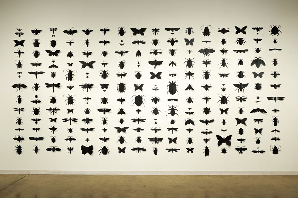 eleanor_mcgough_insects_paper_art